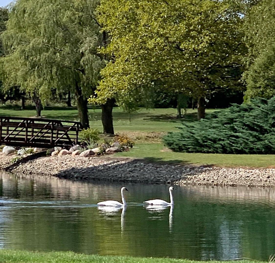 Photo for BGSU Firelands/McBride Arboretum/Mucci Farms