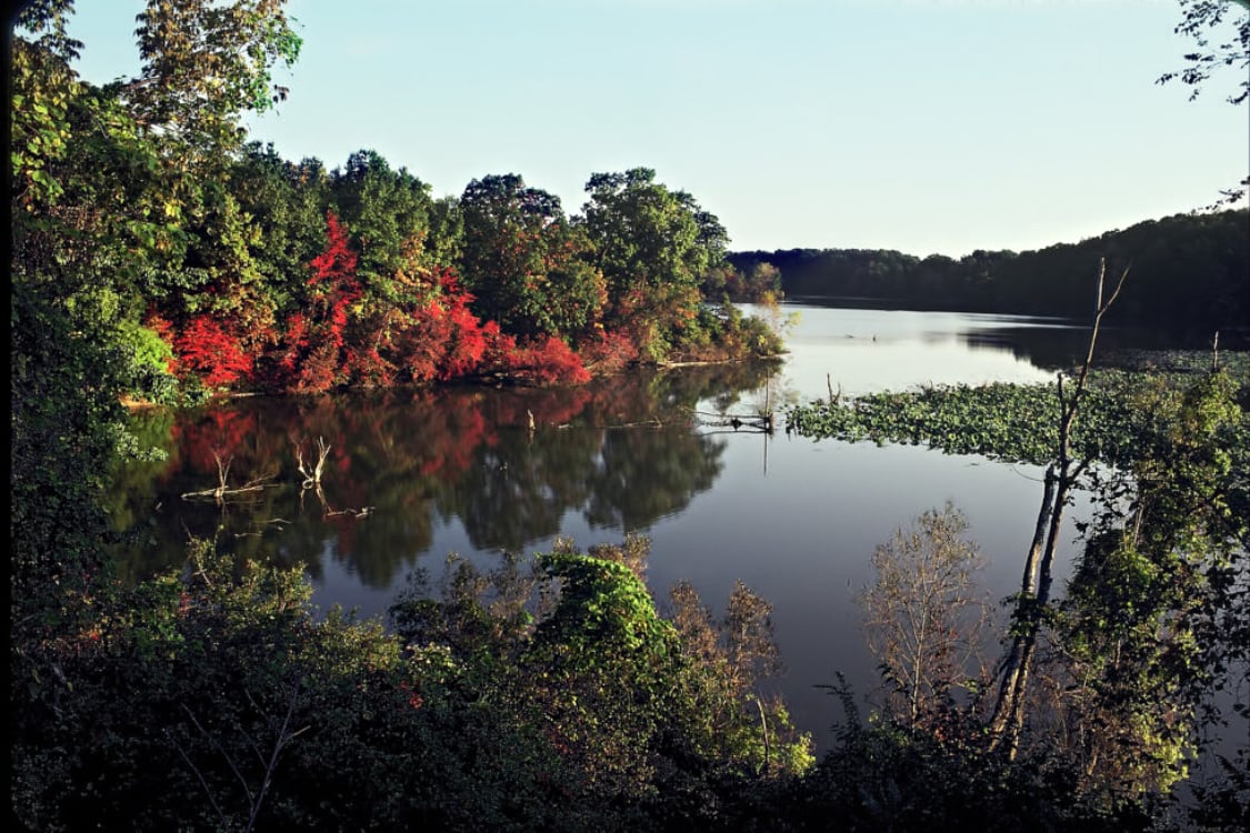 Photo for Old Woman Creek